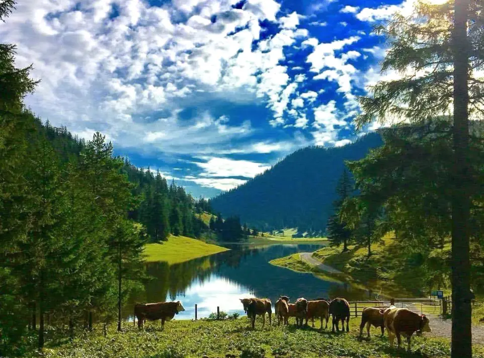 Bergsee