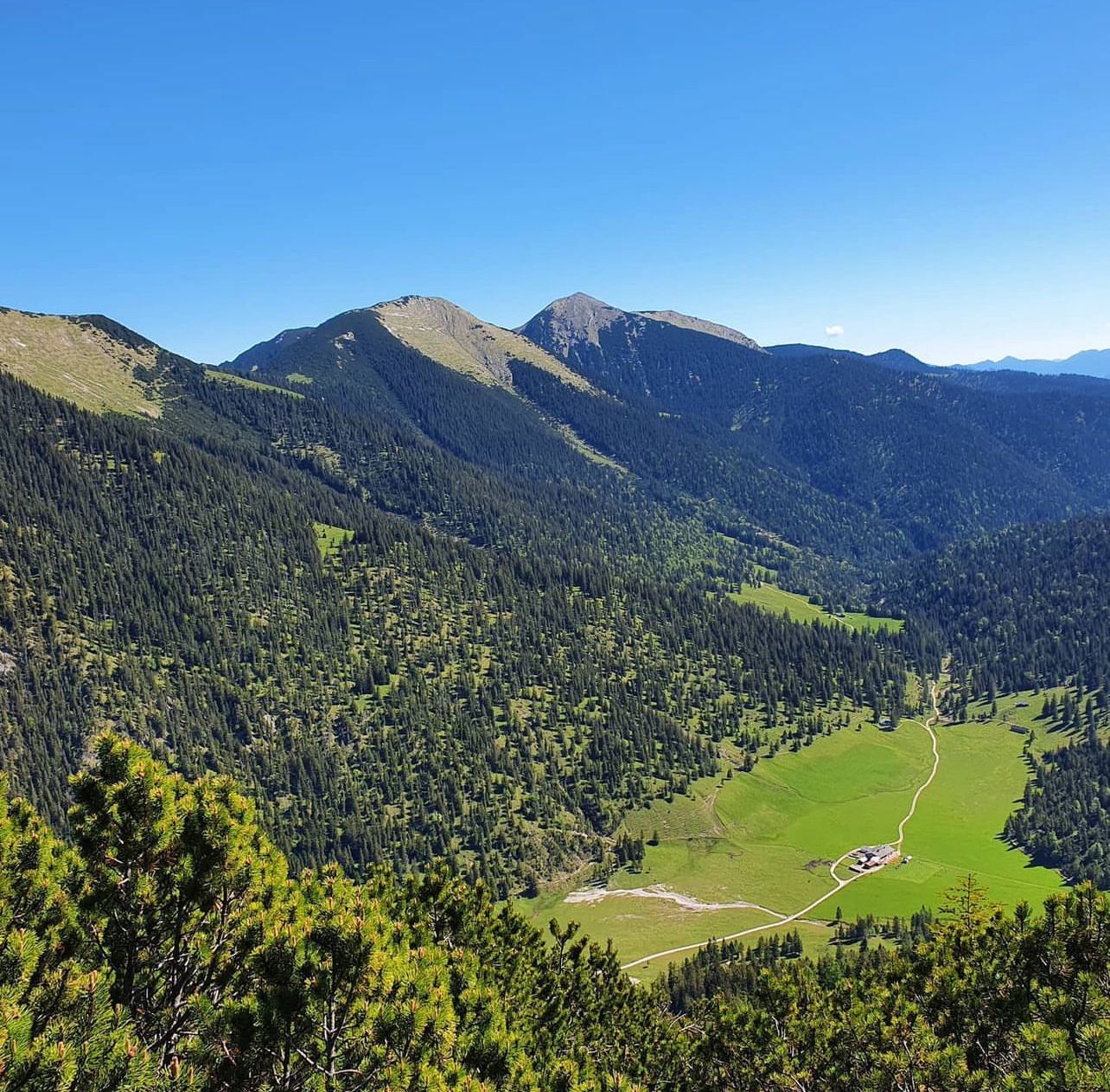 Alpen Blick